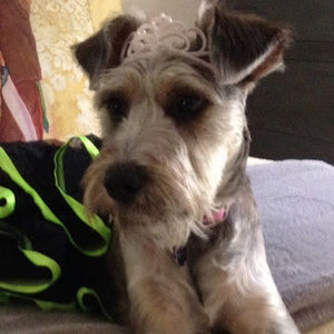 Meet your Posher, Alaina